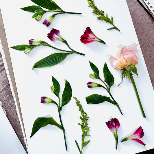 DIY: je eerste bloemen persen in 5 eenvoudige stappen